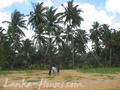 Beach land in Boosa, Rathgama