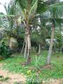 Beach land in Boosa, Rathgama