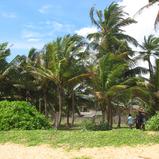 Beach land in Boosa, with coconut palms.