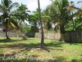 Beach land in Boosa, with coconut palms.