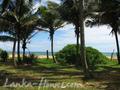 Beach land in Boosa, with coconut palms.