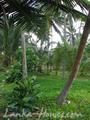 Beach land near Galle in Boosa,