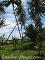 Beach land near Galle in Boosa,