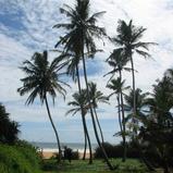 Beach land in Narigama, Hikkaduwa.