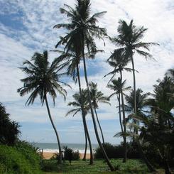 Beach land in Narigama, Hikkaduwa.