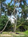 Beach land in Narigama, Hikkaduwa.