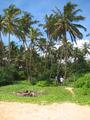 Beach land in Narigama, Hikkaduwa.