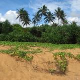 Beach Land in Rathgama, Boosa.