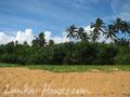 Beach Land in Rathgama, Boosa.