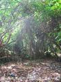 Beach Land in Rathgama, Boosa.