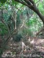 Beach Land in Rathgama, Boosa.
