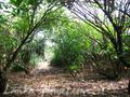Beach Land in Rathgama, Boosa.