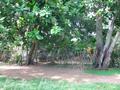 Beach Land in Rathgama, Boosa.