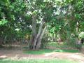 Beach Land in Rathgama, Boosa.