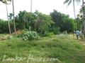 Beach Land in Rathgama, Boosa.