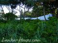 Perfect Land in Talala with constructions plan