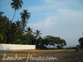 Perfect Land in Talala with constructions plan