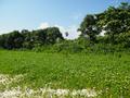 Perfect Land in Talala with constructions plan