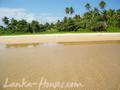 Perfect Land in Talala with constructions plan