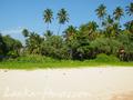 Perfect Land in Talala with constructions plan