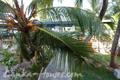 Frangipani beach villa & restaurant
