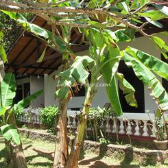 GILAGIRI House