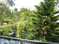 GURUGEI House