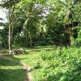 44 perch Land in Unawatuna