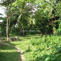 44 perch Land in Unawatuna