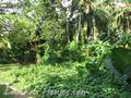 44 perch Land in Unawatuna