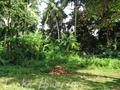 44 perch Land in Unawatuna