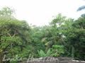SHANTHA House