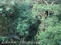 SHANTHA House