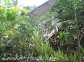 SHANTHA House