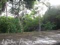 SHANTHA House