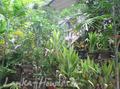 SHANTHA House