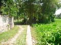 Ahangma land surrounded by paddy field