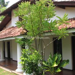 VILLA FULL MOON