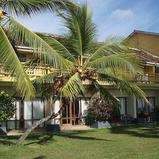 The Surf Hotel