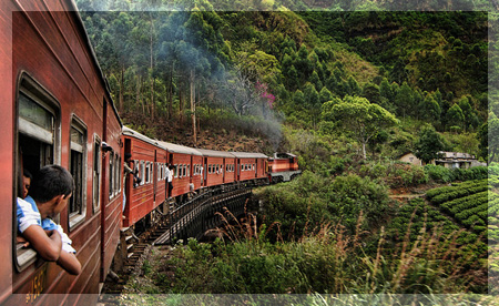 Nuwara Eliya train ride