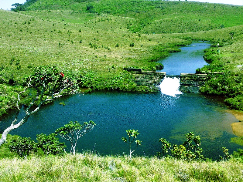 Nuwara Eliya