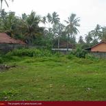 Land on the beach