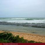 Land on the beach