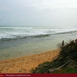 Land on the beach