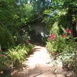 CENTRAL BEACH INN