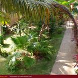 SUN SHINE BEACH INN