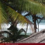 SAHRA Guest House and Restaurant