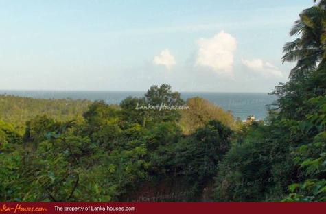 Land in mountain with ocean view