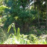 Mountain land in Unawatuna.