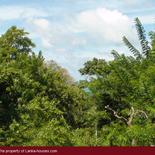 Mountain land in Unawatuna.